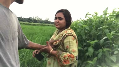 Big Boobs Teen Girlfriend Nadiya Quick Fuck at Green Jute Fields